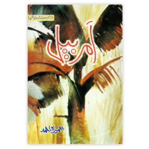 AMAR BAIL Complete Novel By Umaira Ahmed - ILM O IRFAN